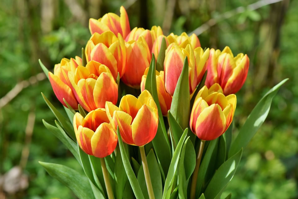 Onoranze Funebri Riesi